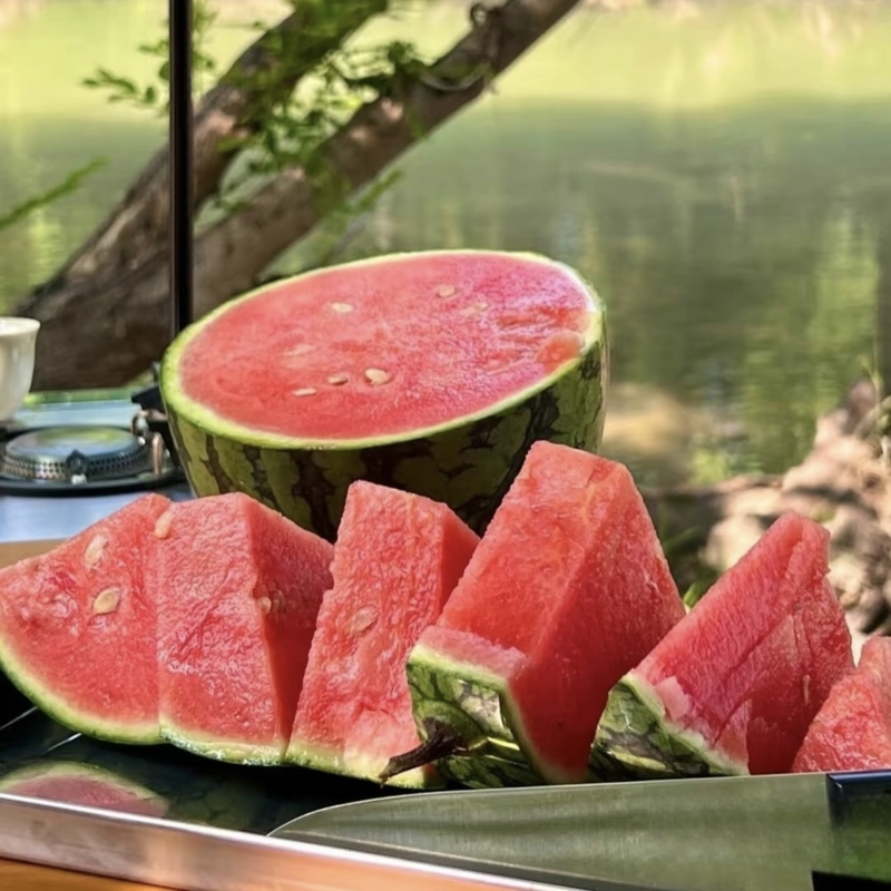 Artisanal Watermelon Medley A Jumbo Watermelon